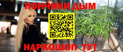 индика Малгобек
