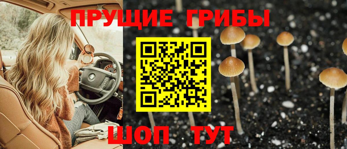 Галлюциногенные грибы мицелий Губкинский